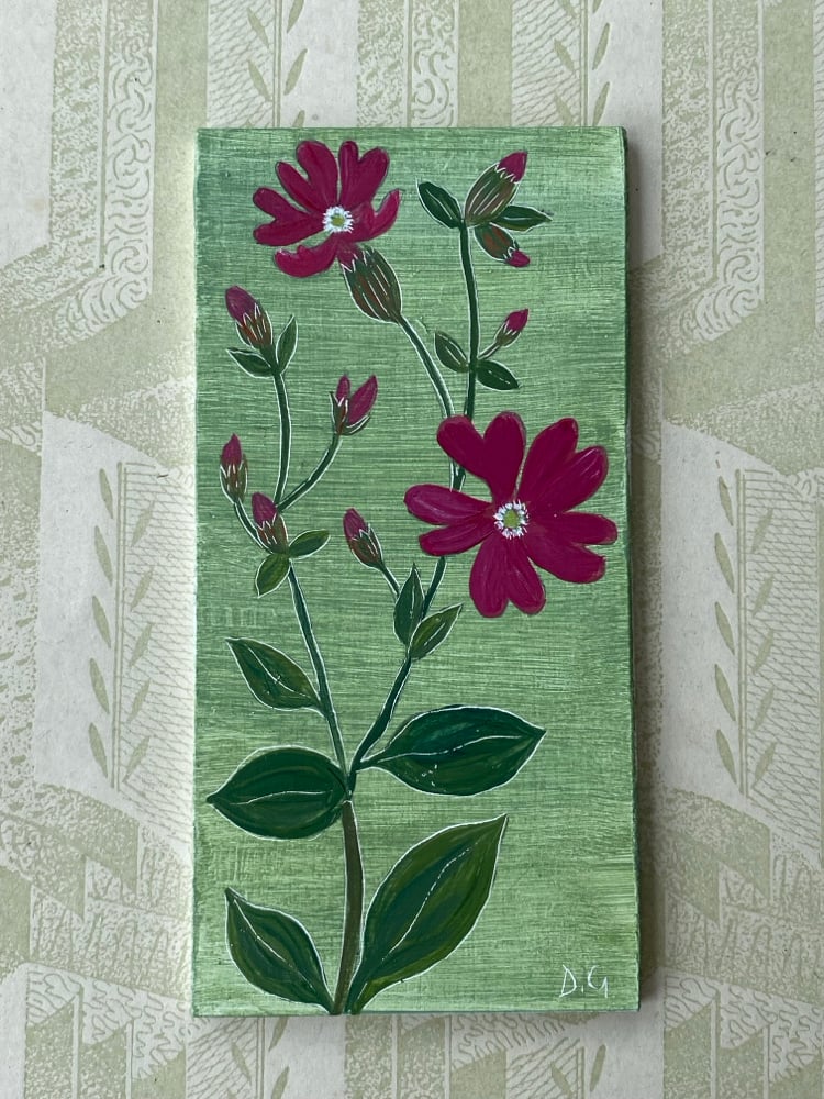 Image of Red Campion