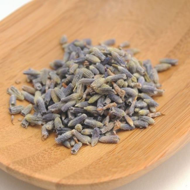 Lavender Flower Buds