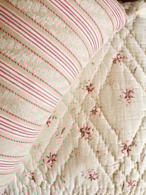 Image of Coussins variés {Prix à partir de}