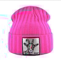 Image 3 of Goat Skully (multiple options)