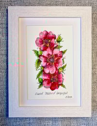 Name translation option 1