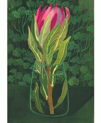 Protea Stem