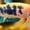 Image of Galaxy Tiger Koi HMPK