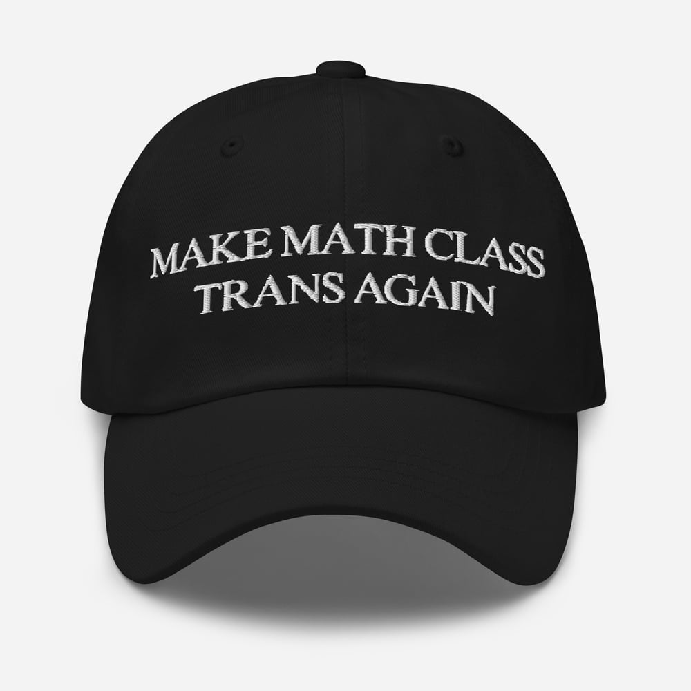 Image of Make Math Class Trans Again Hat