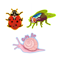 Image 3 of Bumper Sticker 