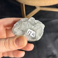 Image 3 of Apophyllite Specimens ($10-$12)