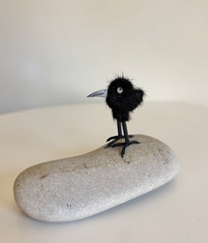 Image of Very Tiny Raven Baby #2