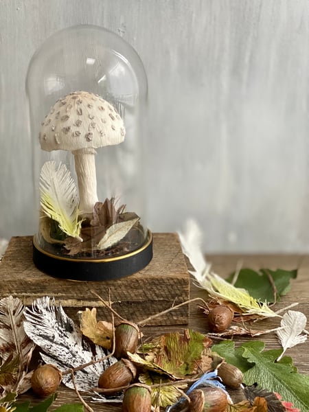 Image of Single White Anita mushroom cloche 