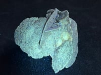 Image 12 of Peru Desert Rose UV Specimen #2416