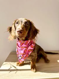 Image 1 of Little Bubba Bandana