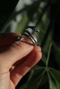 Image 3 of Snakey Vibes 