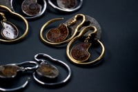 Image 4 of Ear Hangers - Ammonite Shell - Natural - Stainless Steel 316L - 4mm - Silver Gold - Gauges 