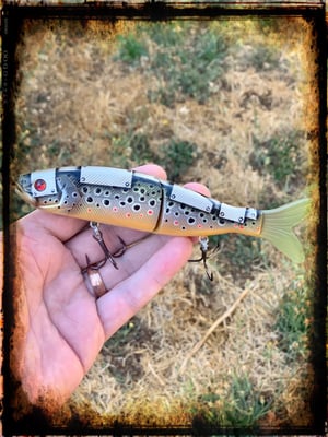 Image of Glide Bait — Armored Brown Trout 