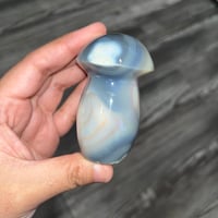 Image 2 of Orca Agate Mushroom B