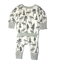 Image 2 of Pocket Pixie NEWBORN