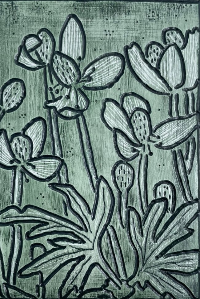 Anemone 