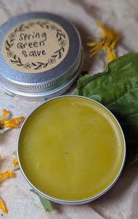 Image 1 of Spring Green Salve