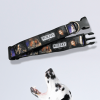 Beetle Dog Collar