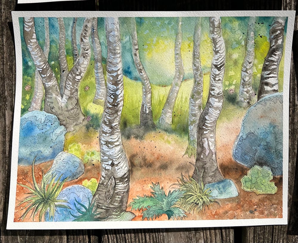 Image of Limited Edition Landscape Prints