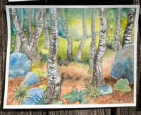 Image 7 of Limited Edition Landscape Prints