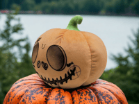 Image 1 of The Peepkin Plushie