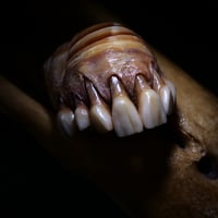 Image 10 of Dental Snull sculpture- blonde bone color, OOAK