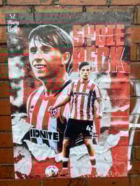 Sydie Peck 25 Poster & Metal Signs