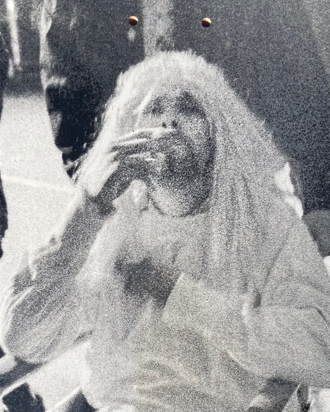 Kurt Cobain / Nirvana skateboard - Manik