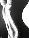 Stipple Print 