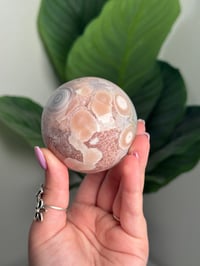 Image 4 of HQ FLOWER AGATE SPHERE -MADAGASCAR- A