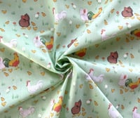 Mint Chicken and Rooster