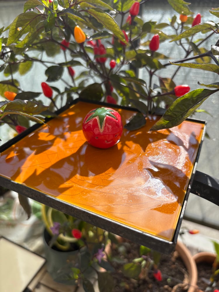 Image of cheeky tomato