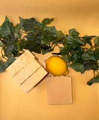 Image 2 of Fresh Start