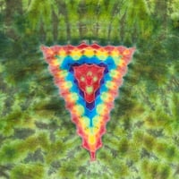 Image 6 of XXXL reptile vortex