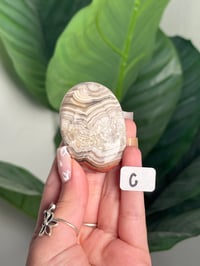 Image 6 of MEXICAN LACE AGATE PALM STONES