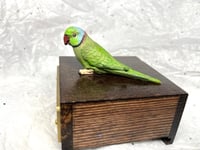Image 7 of Handmade Custom Engraved Indian Ring Neck Parrot Urn Handpainted Pet Portrait