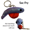 Sac Fry 