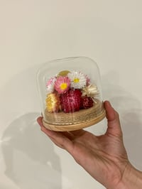 Image 3 of Med Glass Flower Dome - Billy Daisy