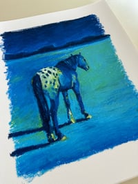 Image 1 of Appaloosa