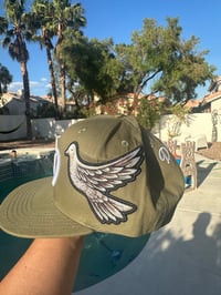 Image 5 of Double dove snap back 