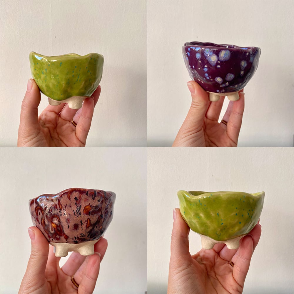 Image of Plant Pots
