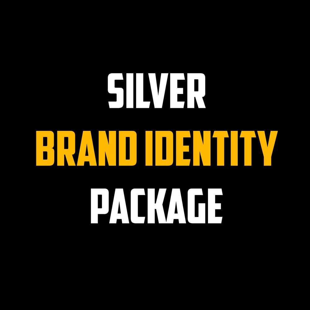 SILVER BRAND IDENTITY PACKAGE 