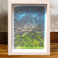 "Gardenia", in Glass Frame
