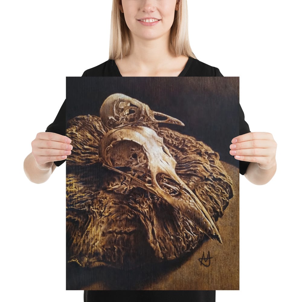 Photo Print: Bird Skulls