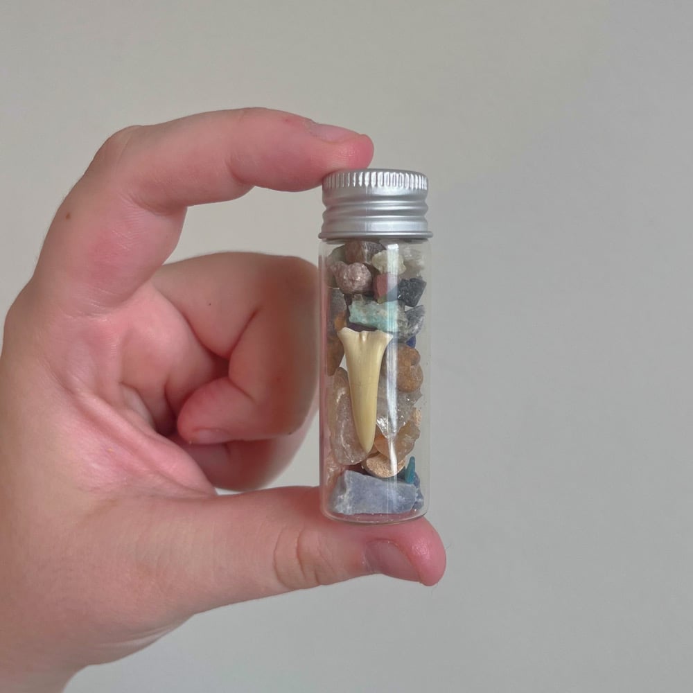 Image of crystal & fossil jar