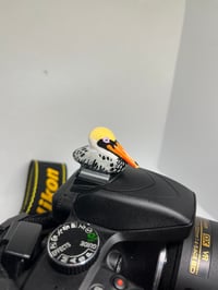 Image 4 of Brown Pelican Hotshoe Cover