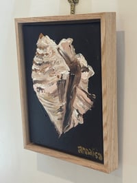 Image 4 of Conch Shell Treasure Original