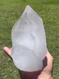 Image 7 of Clear Quartz Points Cluster #1187