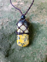 Image 2 of Bumble Bee Jasper