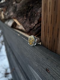 Image 1 of Jasper inlay skull ring size 11